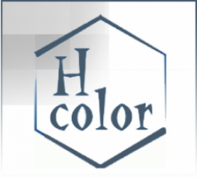 H-Color logo H-Color logo
